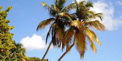 sonstige Reiseversicherungen